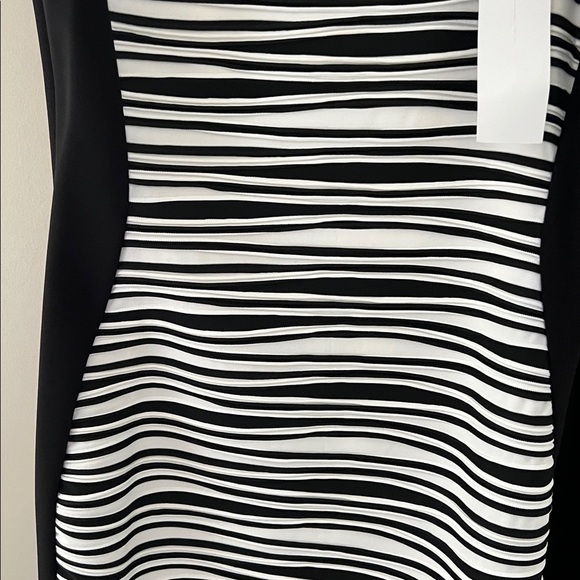 UCP Black and White Striped Sleeveless Dress - Picture 4 of 5